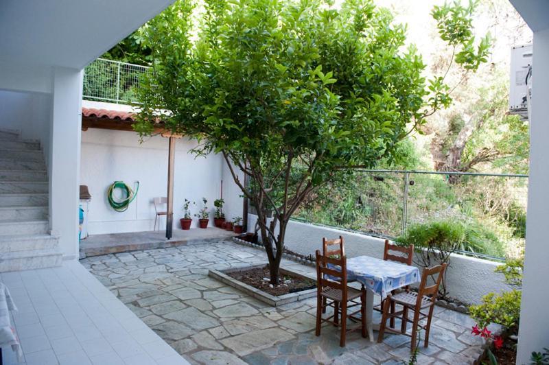 Syraina Apartments Skiathos by Eksteriør billede